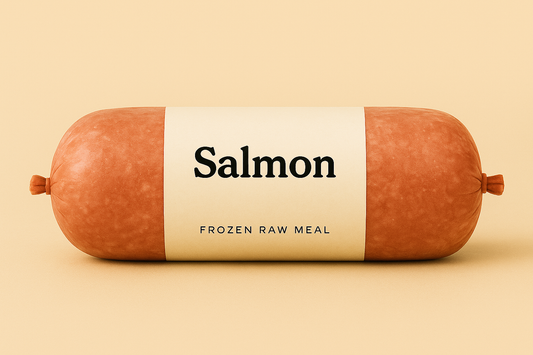 Salmon